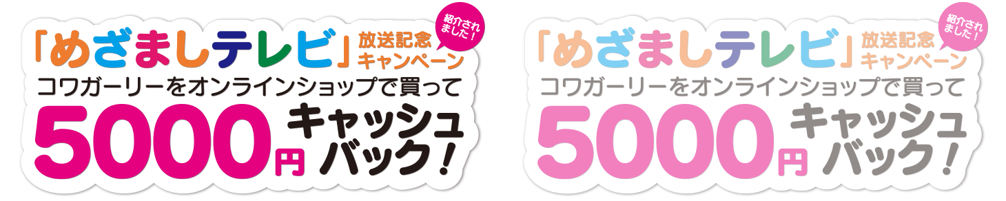 めざましテレビ放送記念キャンペーン　コワガーリーをオンラインショップで買って5000円キャッシュバック！